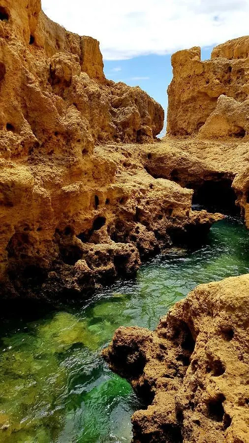 Albufeira Oasis Retreat Apartment Portugal