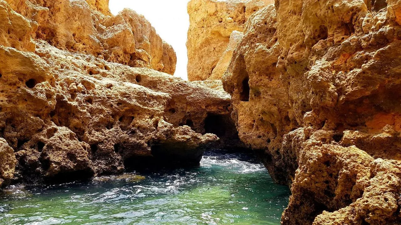 Albufeira Oasis Retreat Apartment