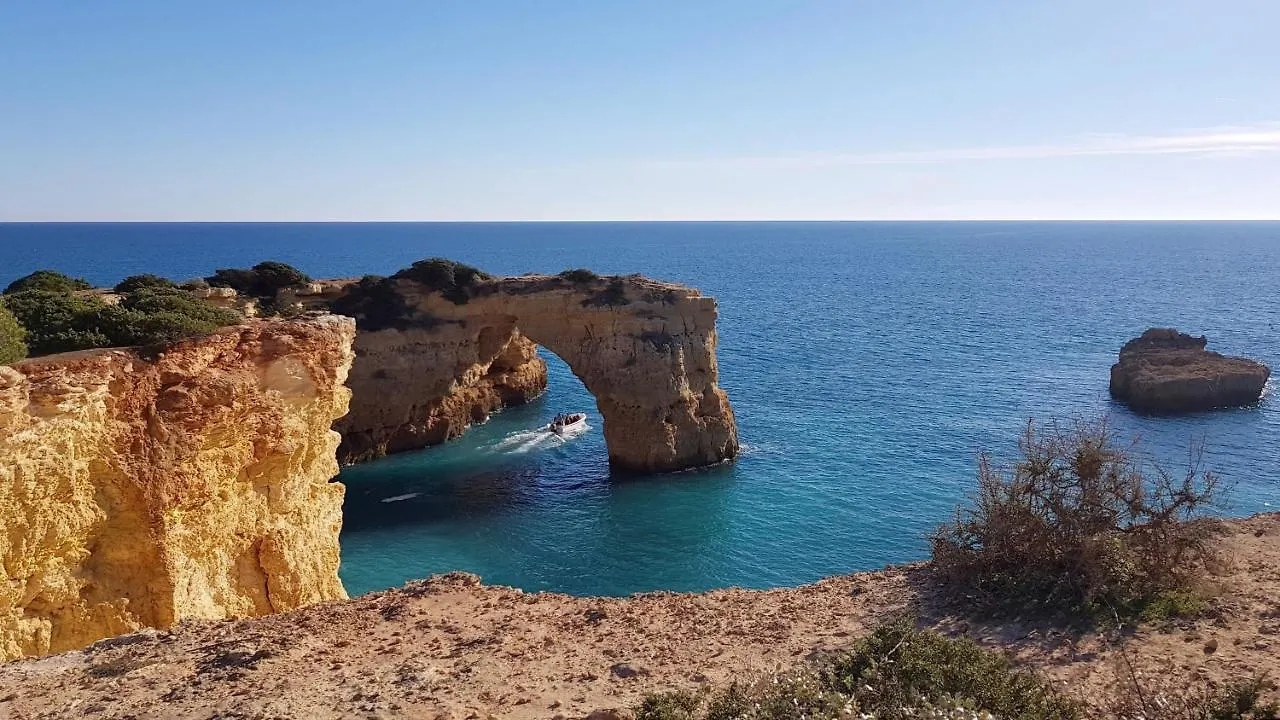 Albufeira Oasis Retreat Apartment